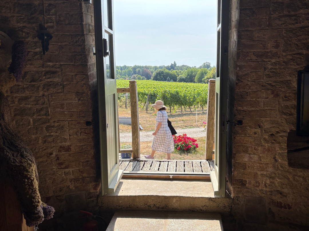 Nutbourne Vineyards-Nutbourne必去景点