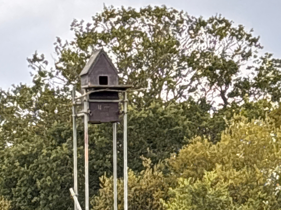 Stow Maries Great War Aerodrome with Mess Cafe-Maldon必去景点
