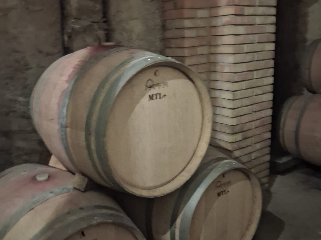 Cantine Antonio Caggiano-Taurasi必去景点
