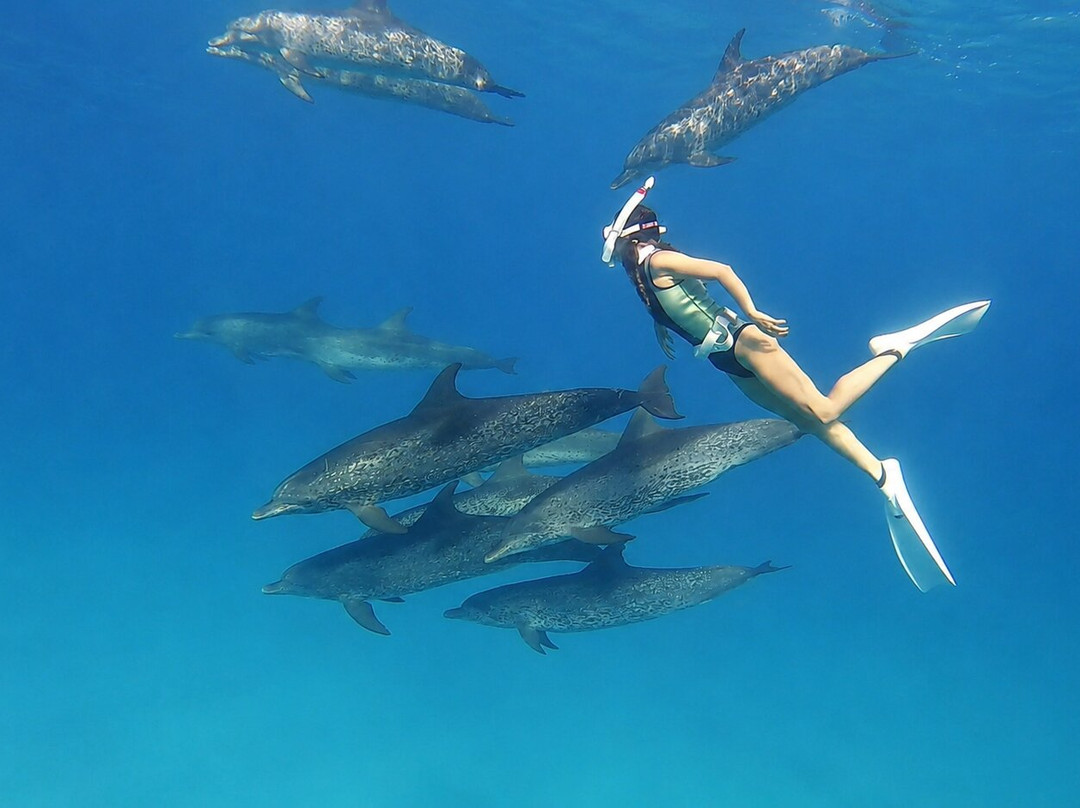 Bimini Splash-Bailey Town必去景点