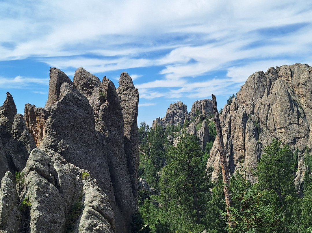 Needles Highway-卡斯特必去景点