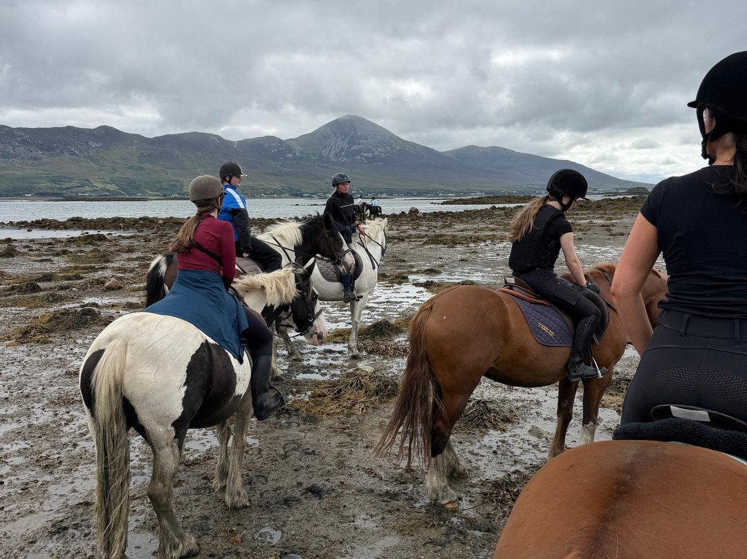 Carrowholly Stables & Trekking Centre-韦斯特波特必去景点