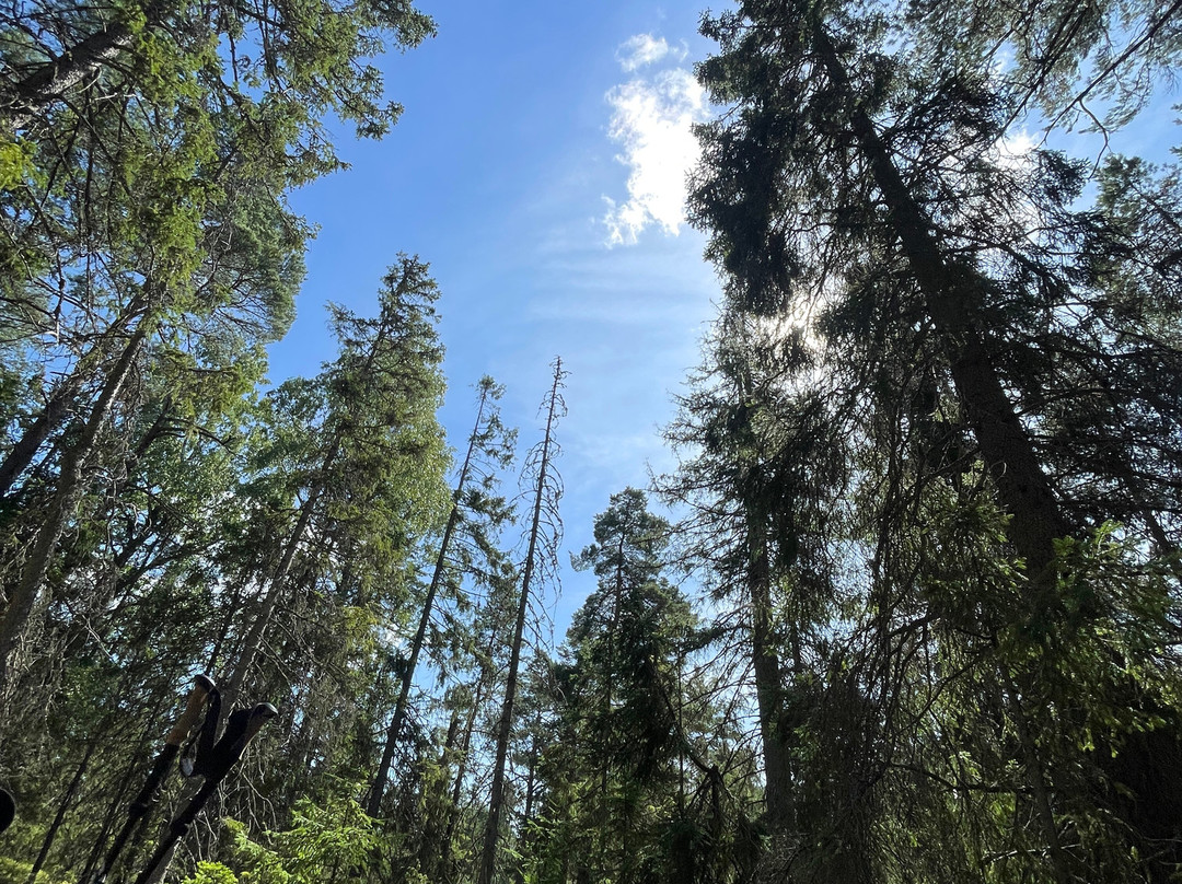 Tyresta National Park-Tyreso必去景点