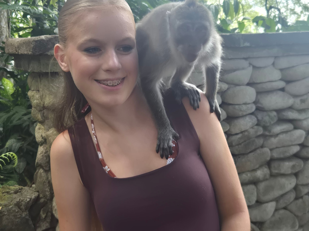 Sangeh Monkey Forest-Sangeh必去景点