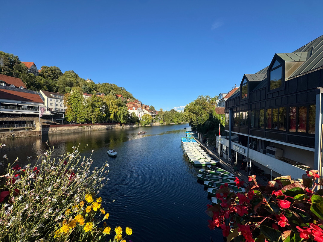 图宾根酒店住宿-Domizil Tubingen
