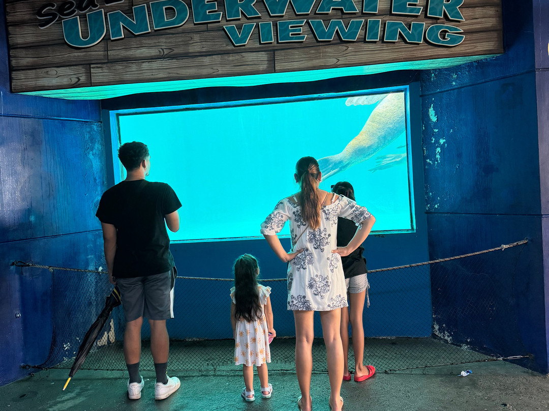 Ocean Adventure-苏比克湾自由贸易区必去景点