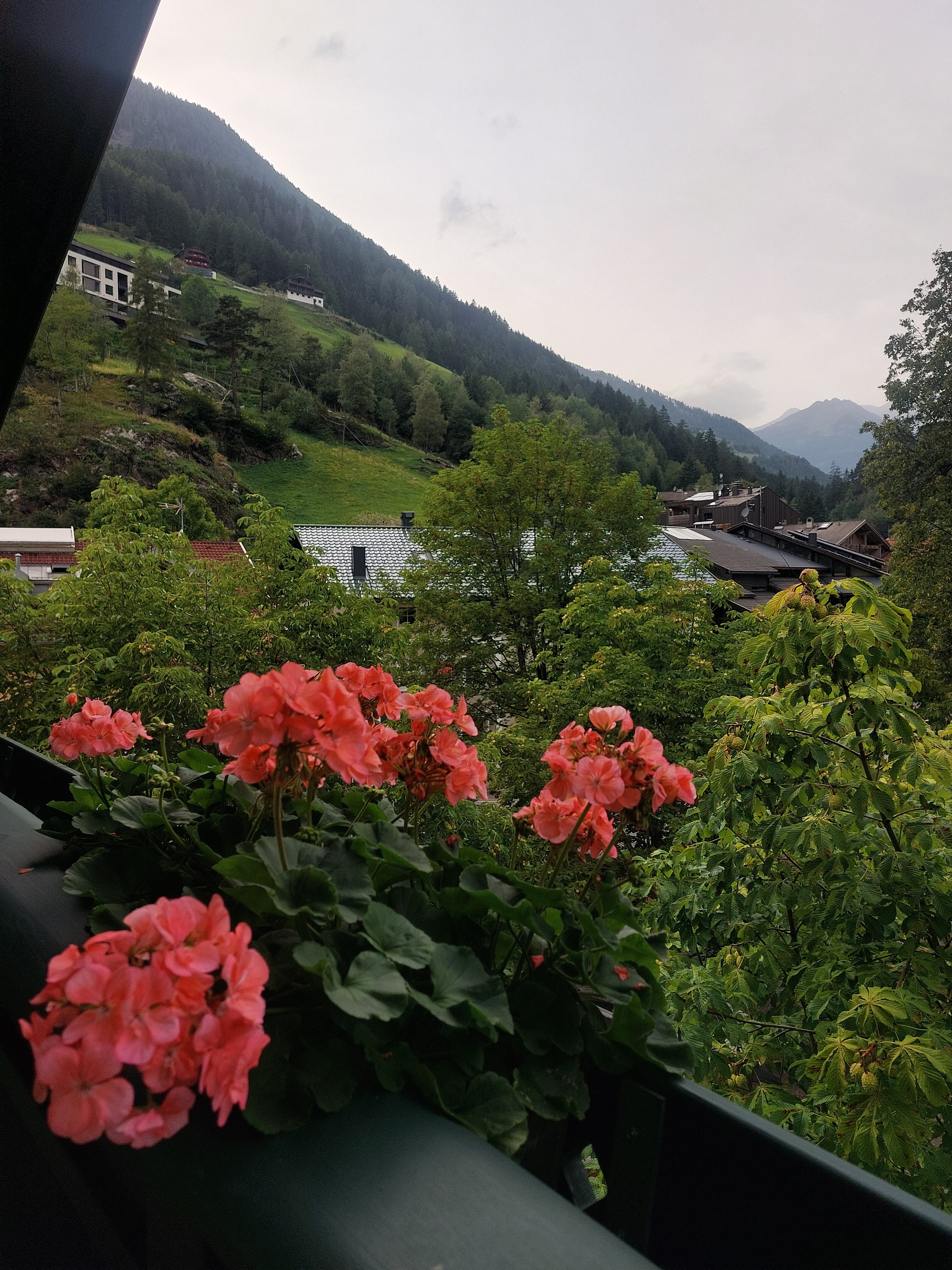 壮姆勒霍夫酒店-旅行者