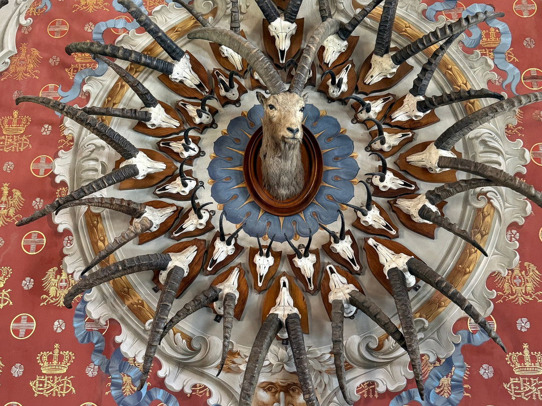 Castello Reale di Sarre-Sarre必去景点