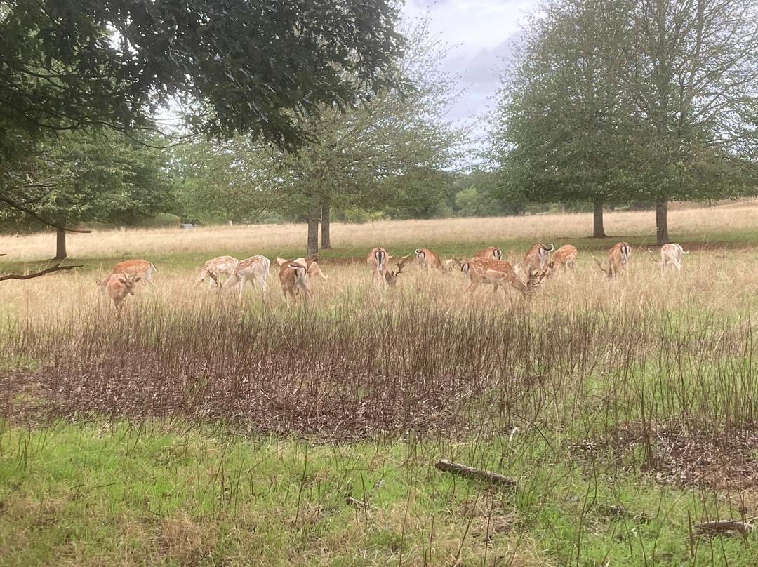 National Trust - Charlecote Park-沃里克必去景点