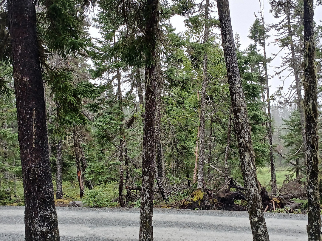 Terra Nova National Park-Glovertown必去景点