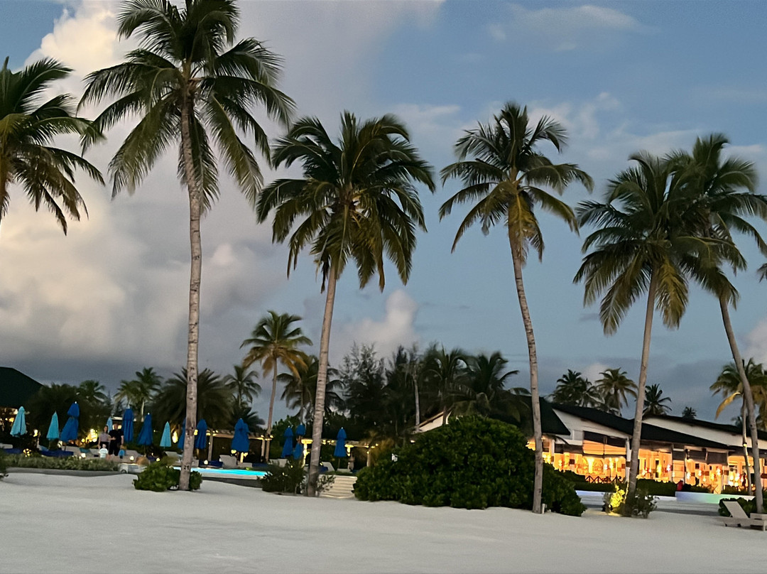 Joy Island Maldives by Cocoon Collection主图