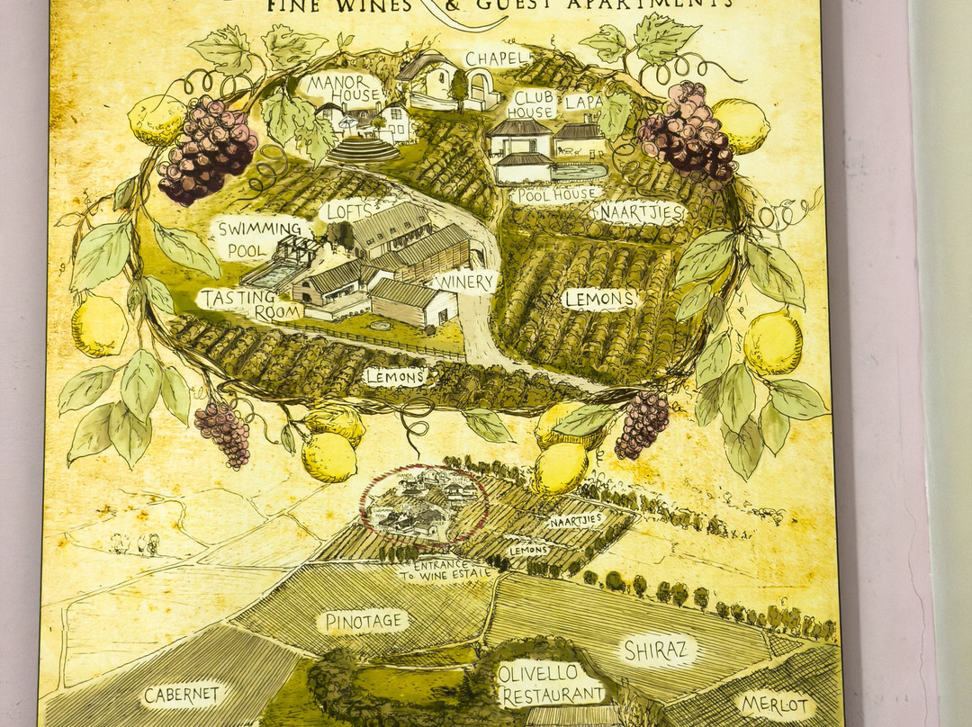 Marianne Wine Estate-斯泰伦博斯必去景点