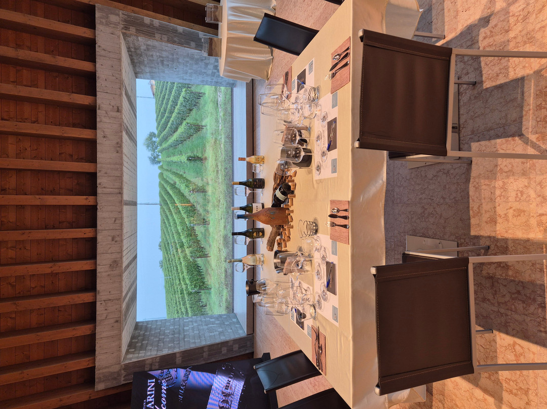 Azienda Agricola Bulgarini - Cantina Bulgarini-Pozzolengo必去景点