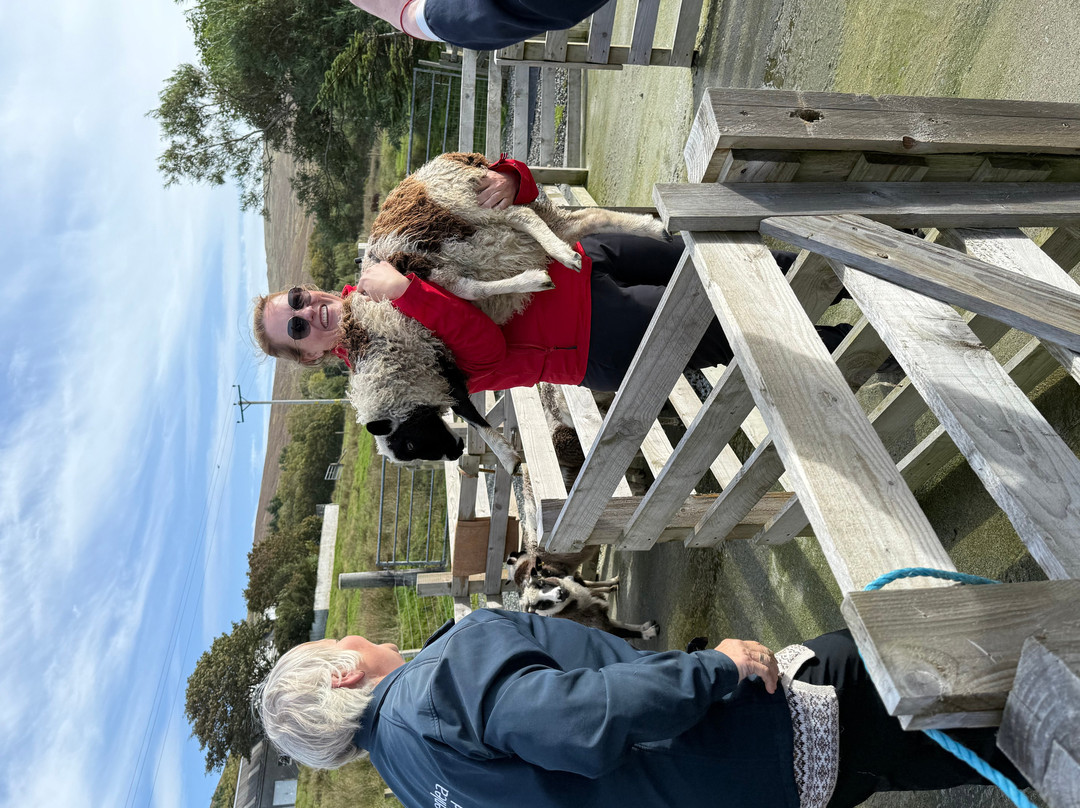 Breckenlea Croft Tours-Bixter必去景点