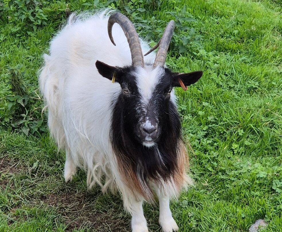 The Lake District Wildlife Park-Bassenthwaite必去景点