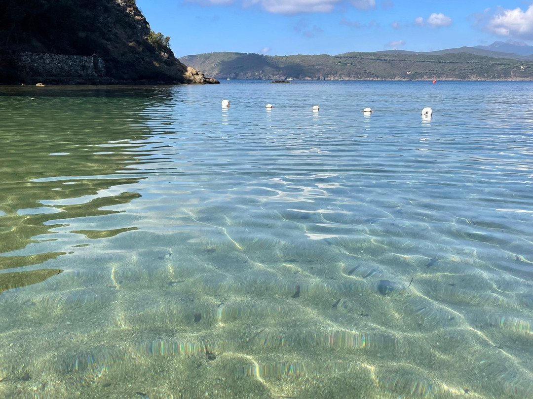 Spiaggia di Zuccale-Capoliveri必去景点