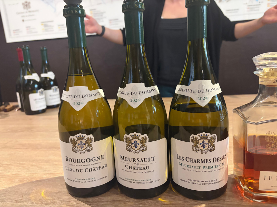 Chateau de Meursault-默尔索必去景点