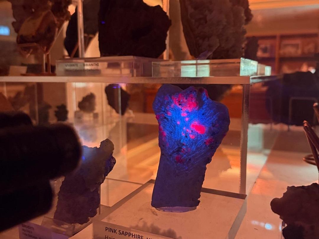 Museum of Mineralogy & Paleontology Stamatiadis-Ialysos必去景点