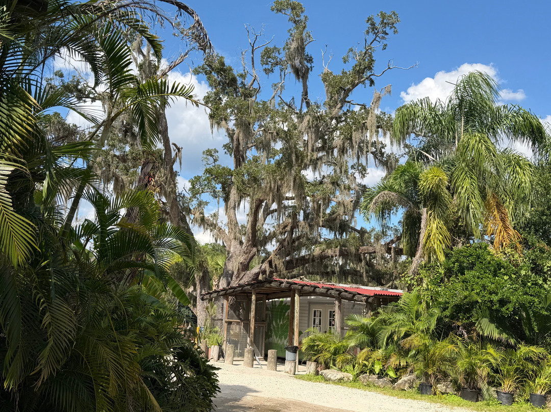 Croc Encounters-坦帕必去景点