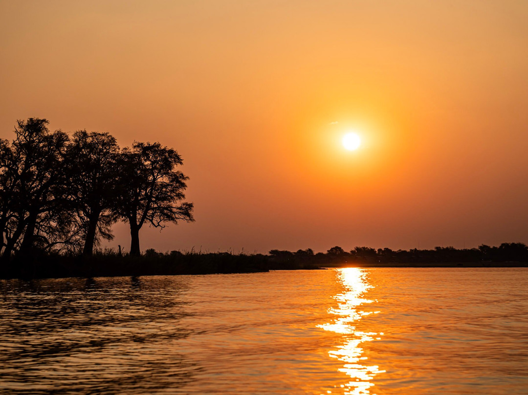 Zambezi Queen Collection by Mantis-Kasika必去景点