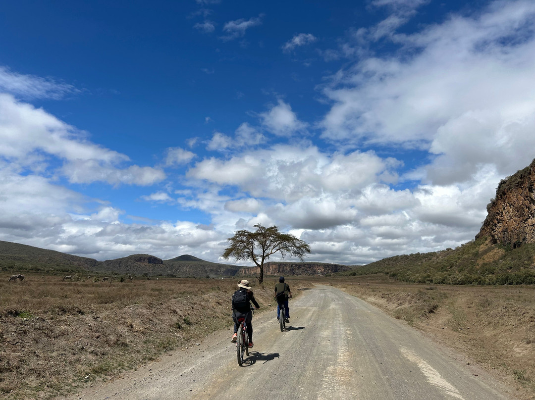Malnodez Safaris-纳库鲁必去景点