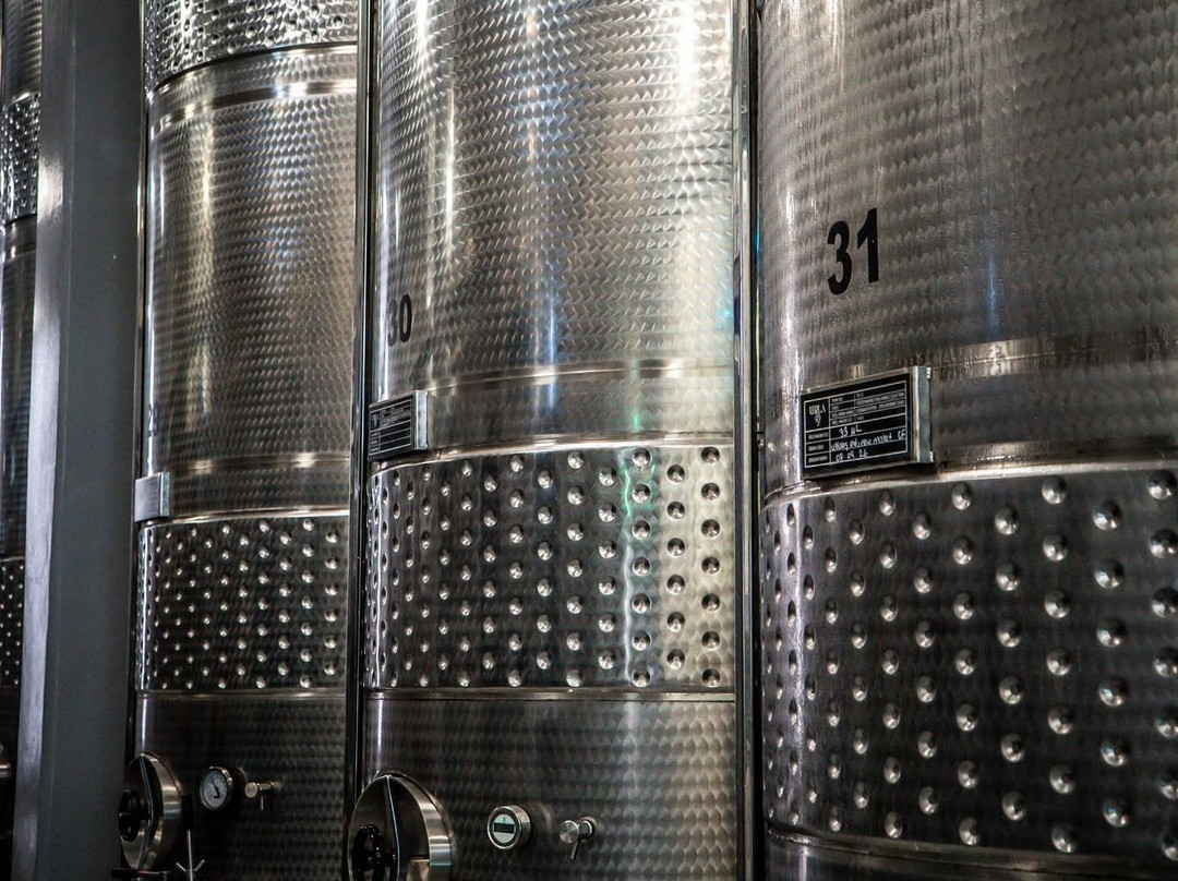 Urla Winery-Urla必去景点