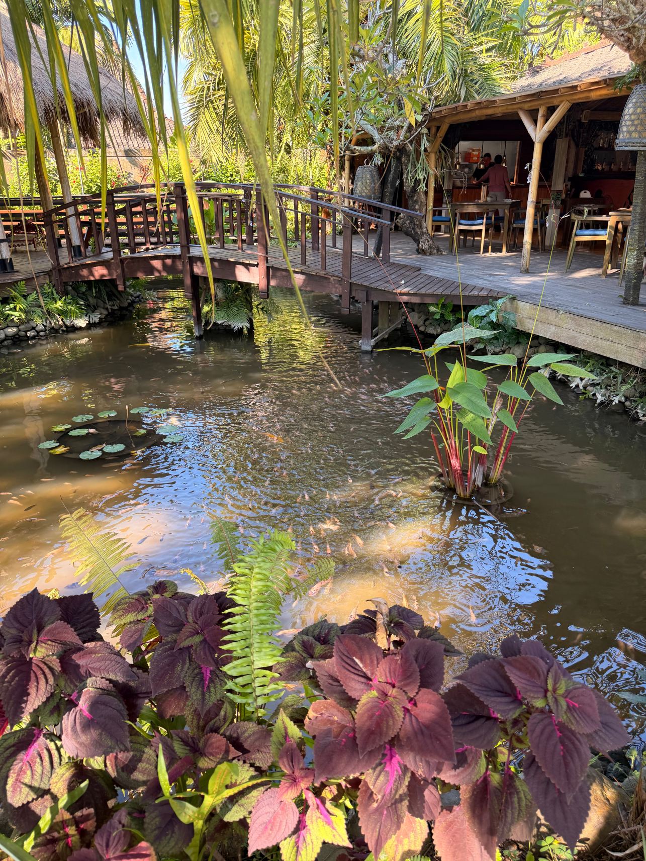 乌布艾莉亚别墅酒店-旅行者