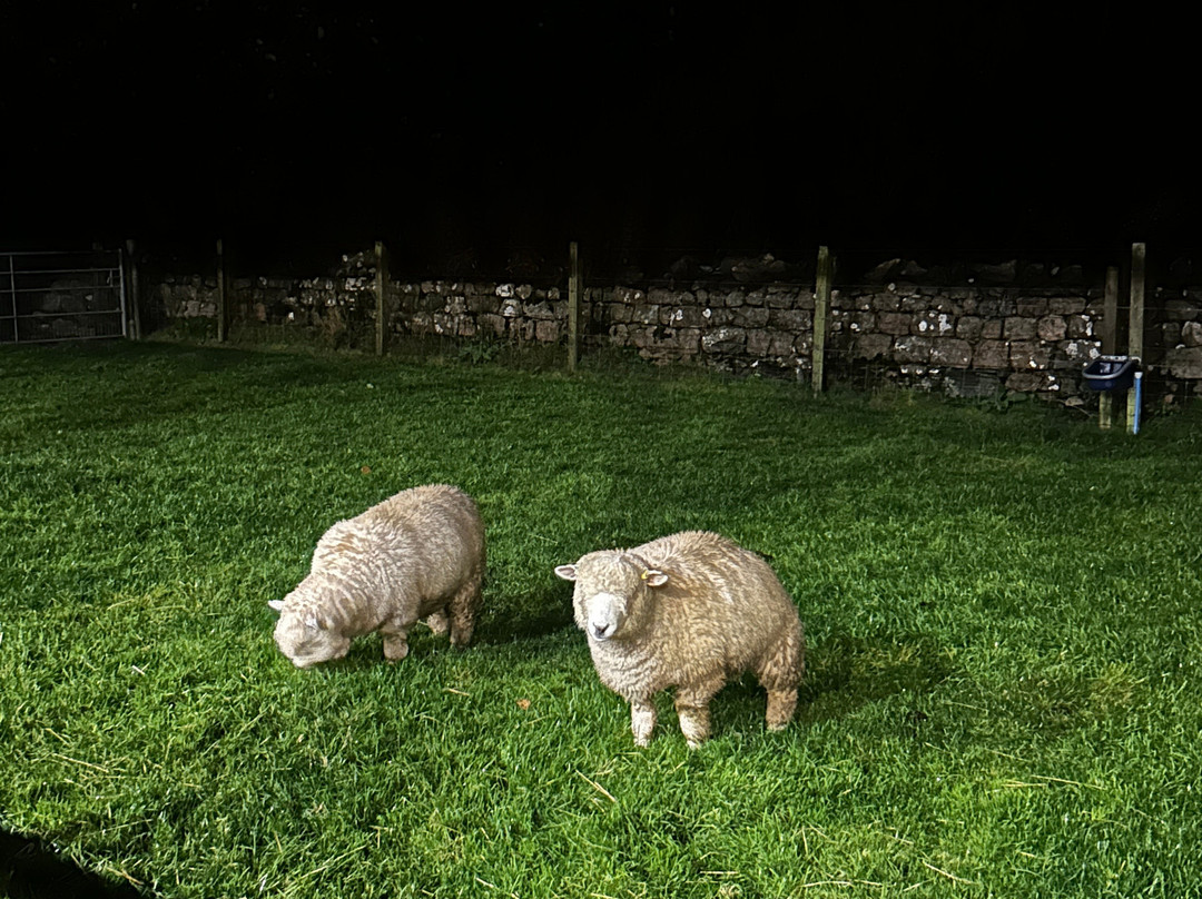 Farm Stop
