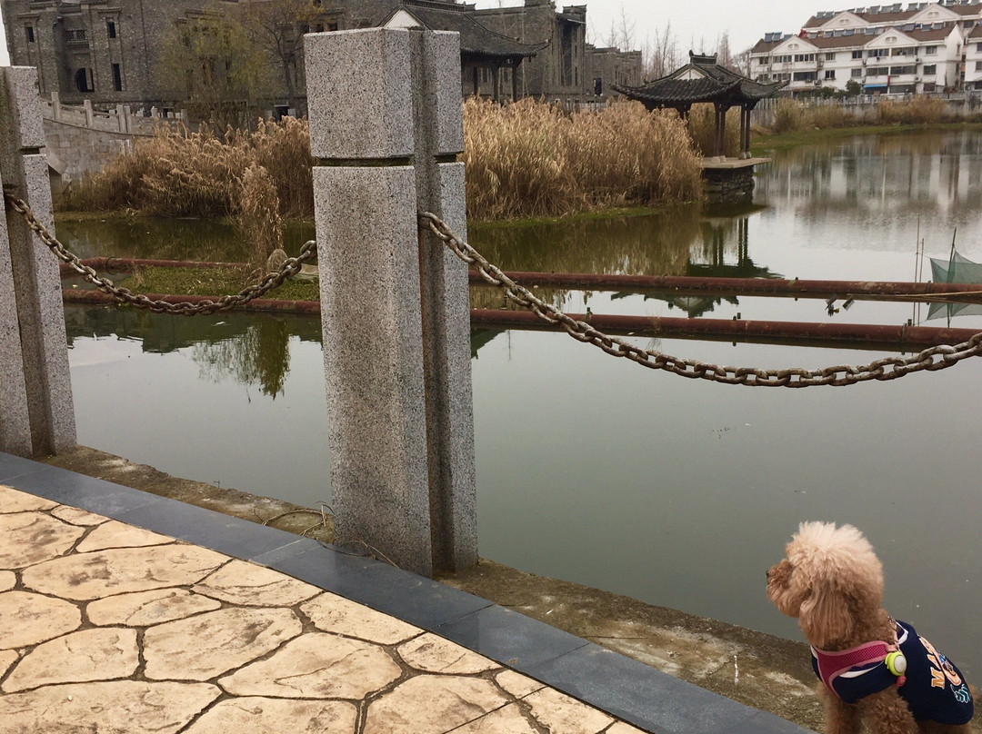 沿淮风光带景点图片