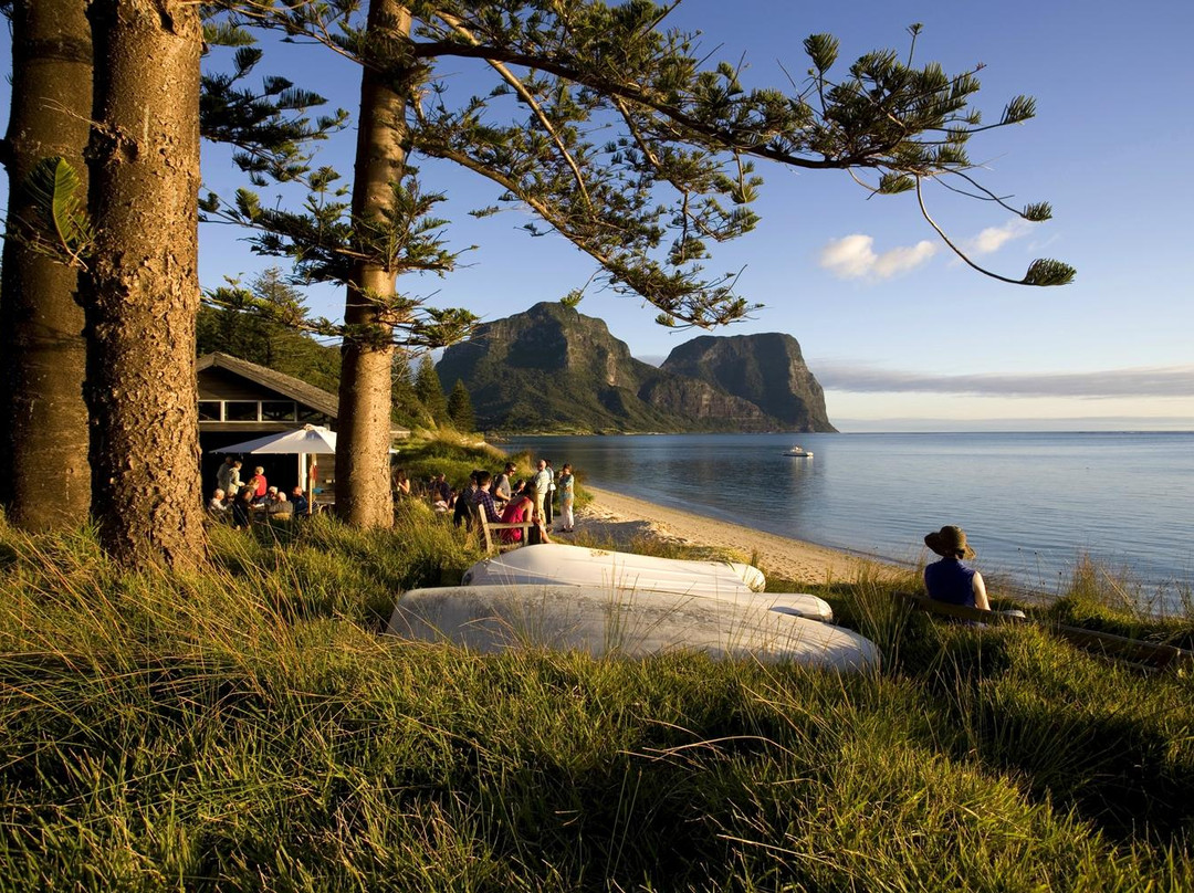 豪勋爵群岛酒店住宿-Pinetrees Lodge