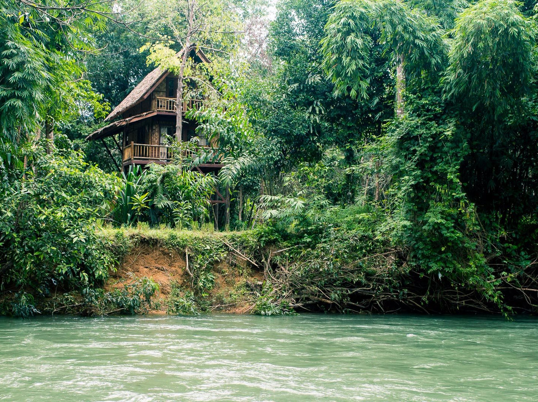 Our Jungle Camp - Eco Resort