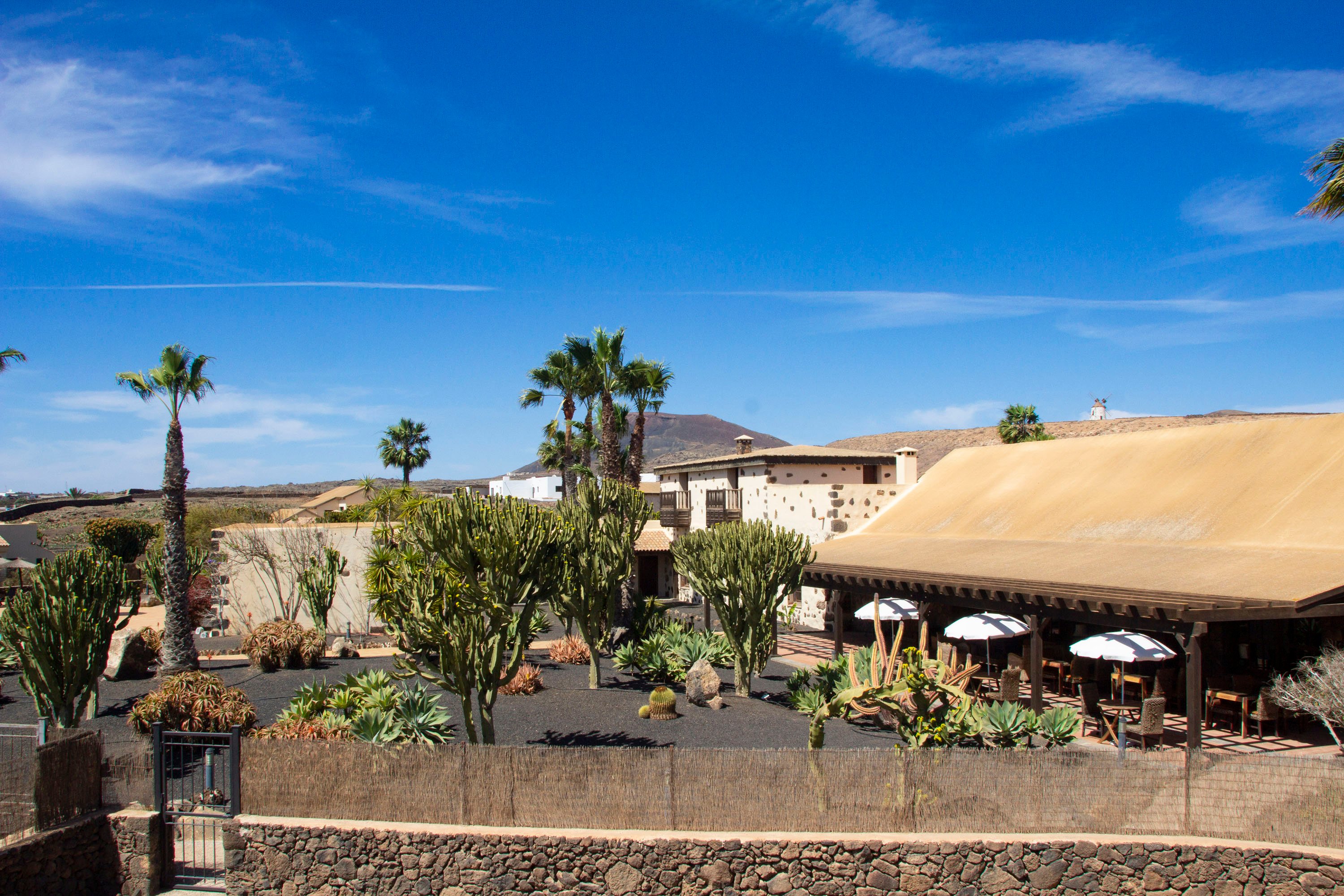 Hotel Boutique & Villas Oasis Casa Vieja-官方