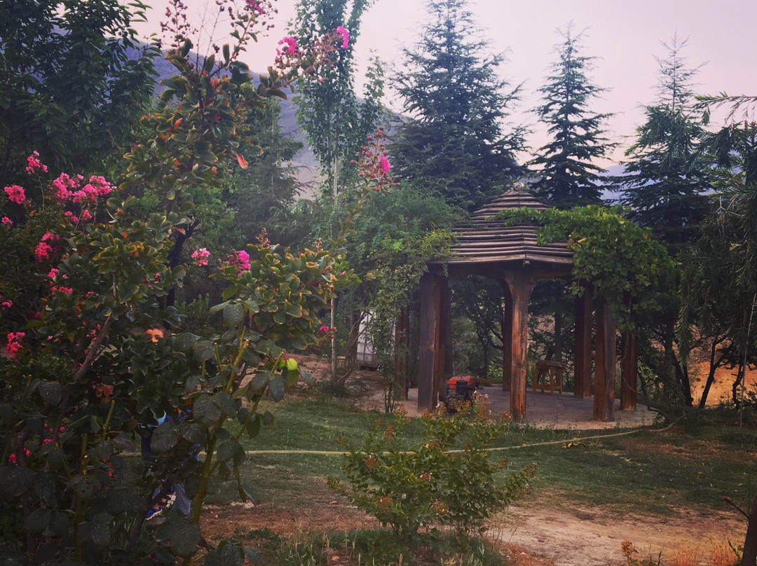 Hindukush Heights