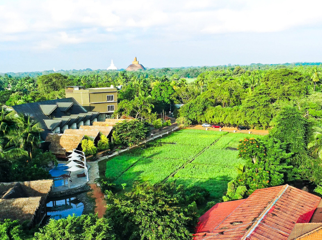 阿瓦斯塔Spa度假酒店