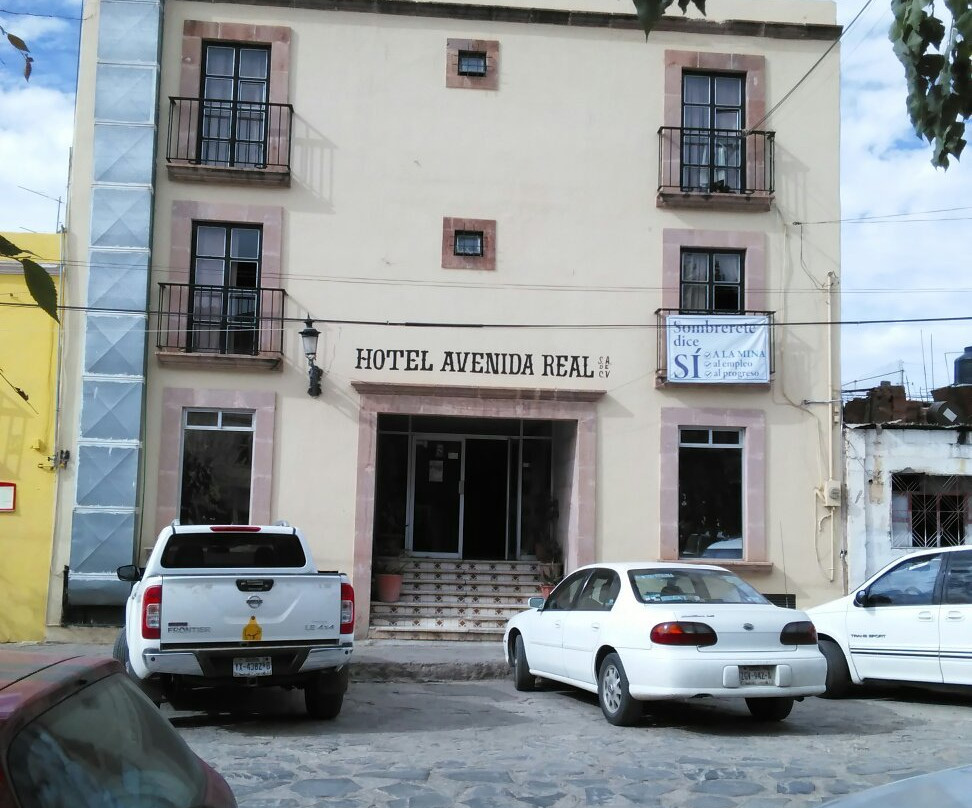 Vicente Guerrero酒店住宿-Hotel Avenida Real