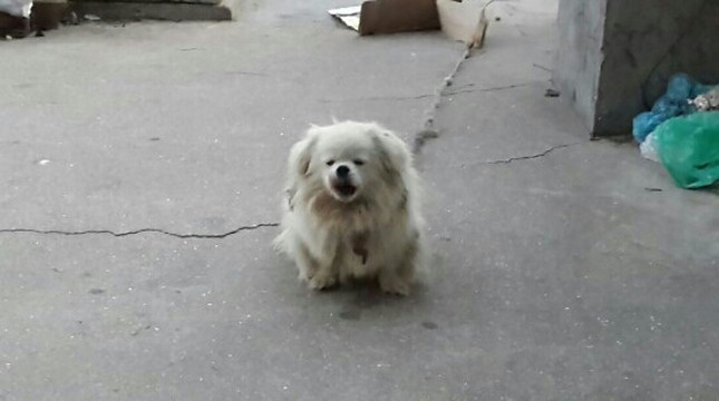 瓜皮岛-长海县必去景点