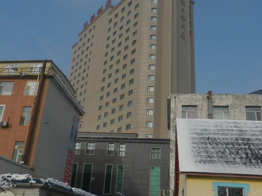 大安市酒店住宿-天新饭店