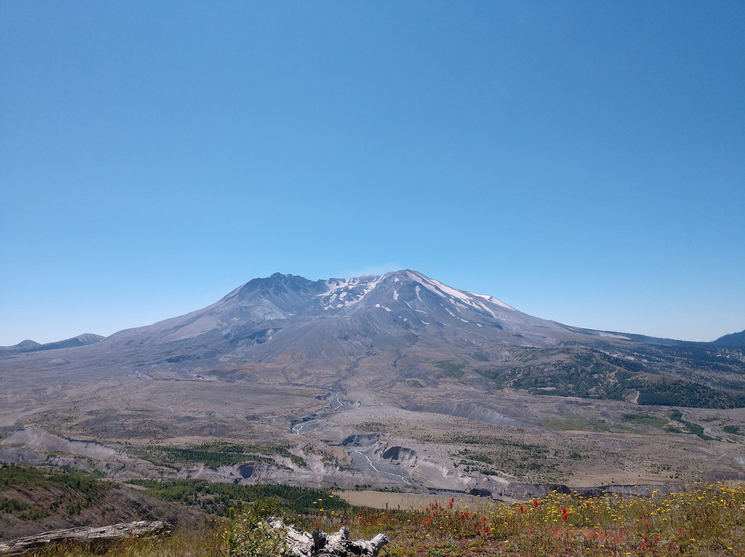 Mount St. Helens Visitor Center景点图片
