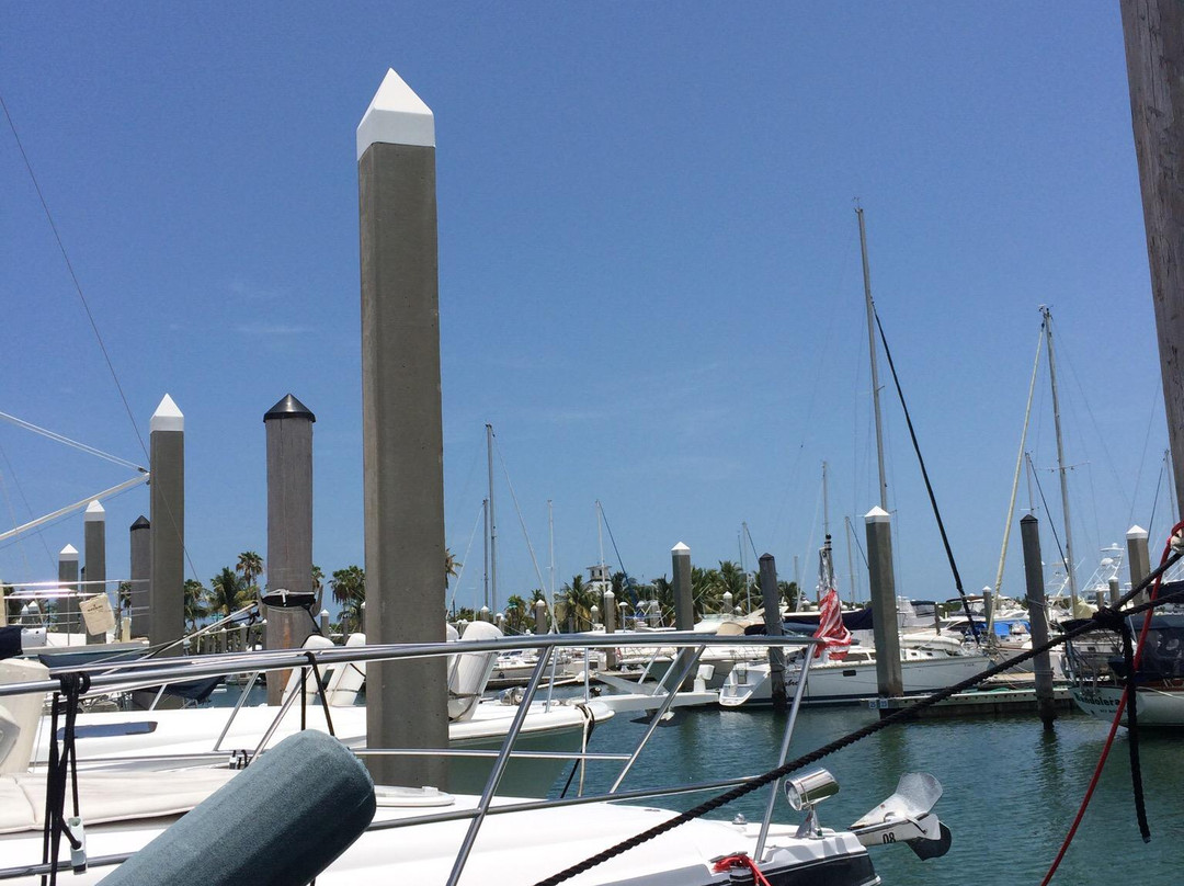 Crandon Park Marina景点图片