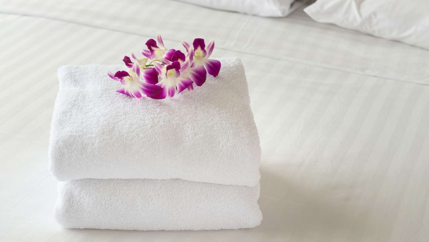 Hotel Vir-官方