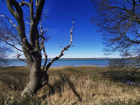 Wrabness Nature Reserve景点图片