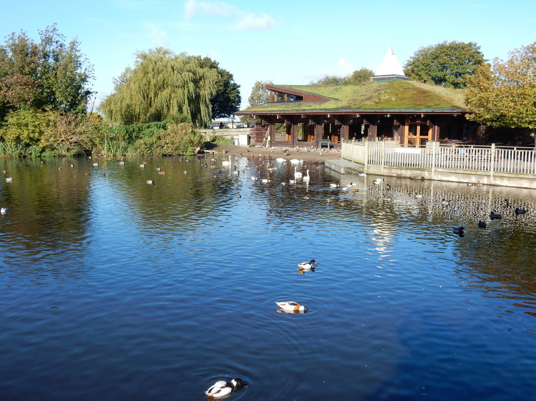 WWT Martin Mere Wetland Centre景点图片