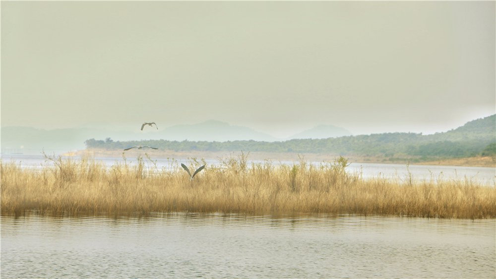 俄贤岭-东方市必去景点