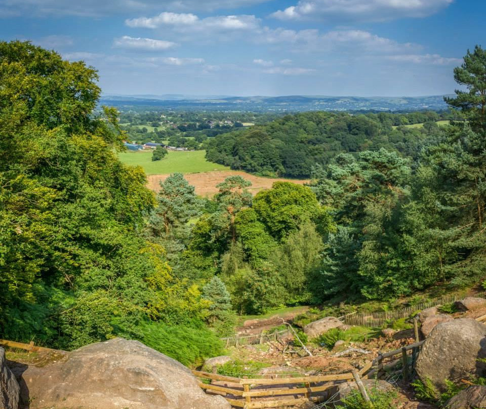 Alderley Edge Woodland Walk景点图片