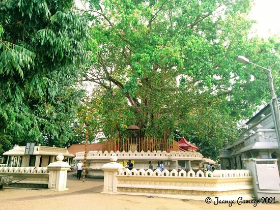 Bellanwila Rajamaha Viharaya-Boralesgamuwa必去景点