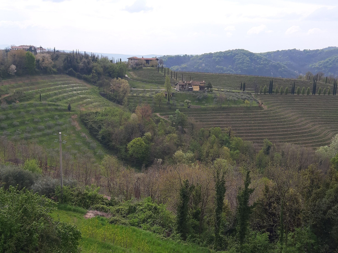Alla Torre Antica
