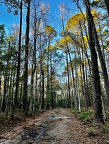 Tillie K. Fowler Regional Park-杰克逊维尔必去景点