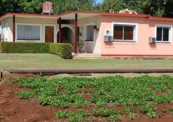 Hostal La Bugambilia主图