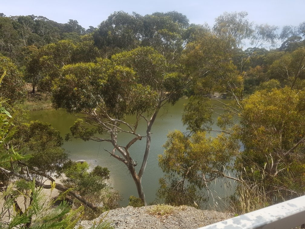 Yellow Gum Recreation Area-Plenty必去景点