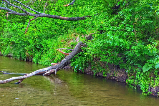 Delta Of Borova River-Severodonetsk必去景点